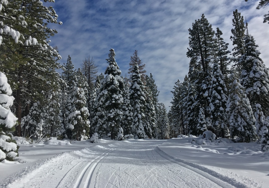 Groomed trails at Tahoe XC
