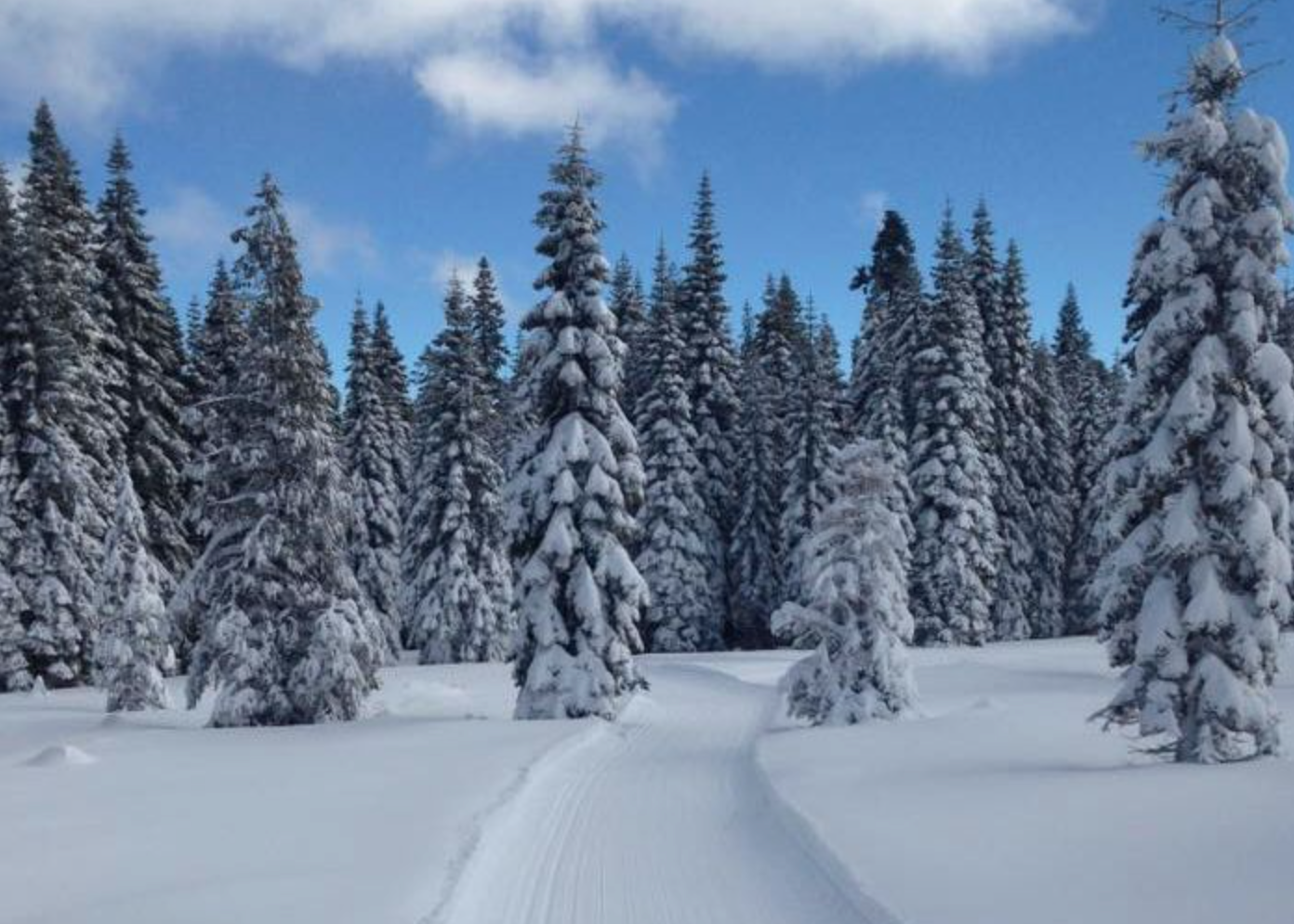 Deep Groomed Snow Trails