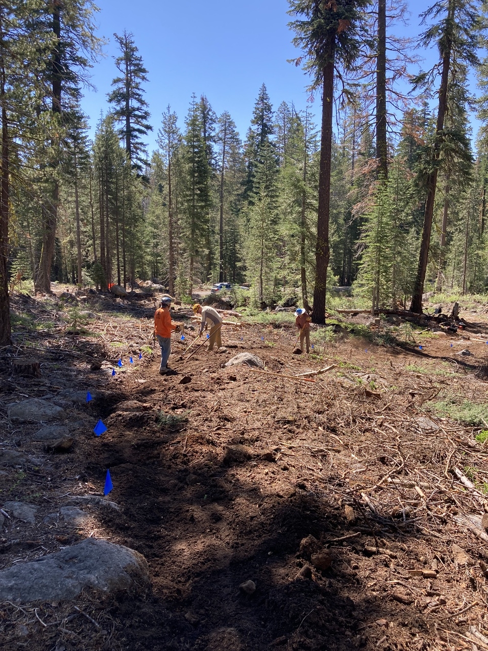 Trail Workers